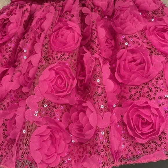 New American‎ Princess Hot Pink Floral Embellished Dress Size 12M - Picture 2 of 6